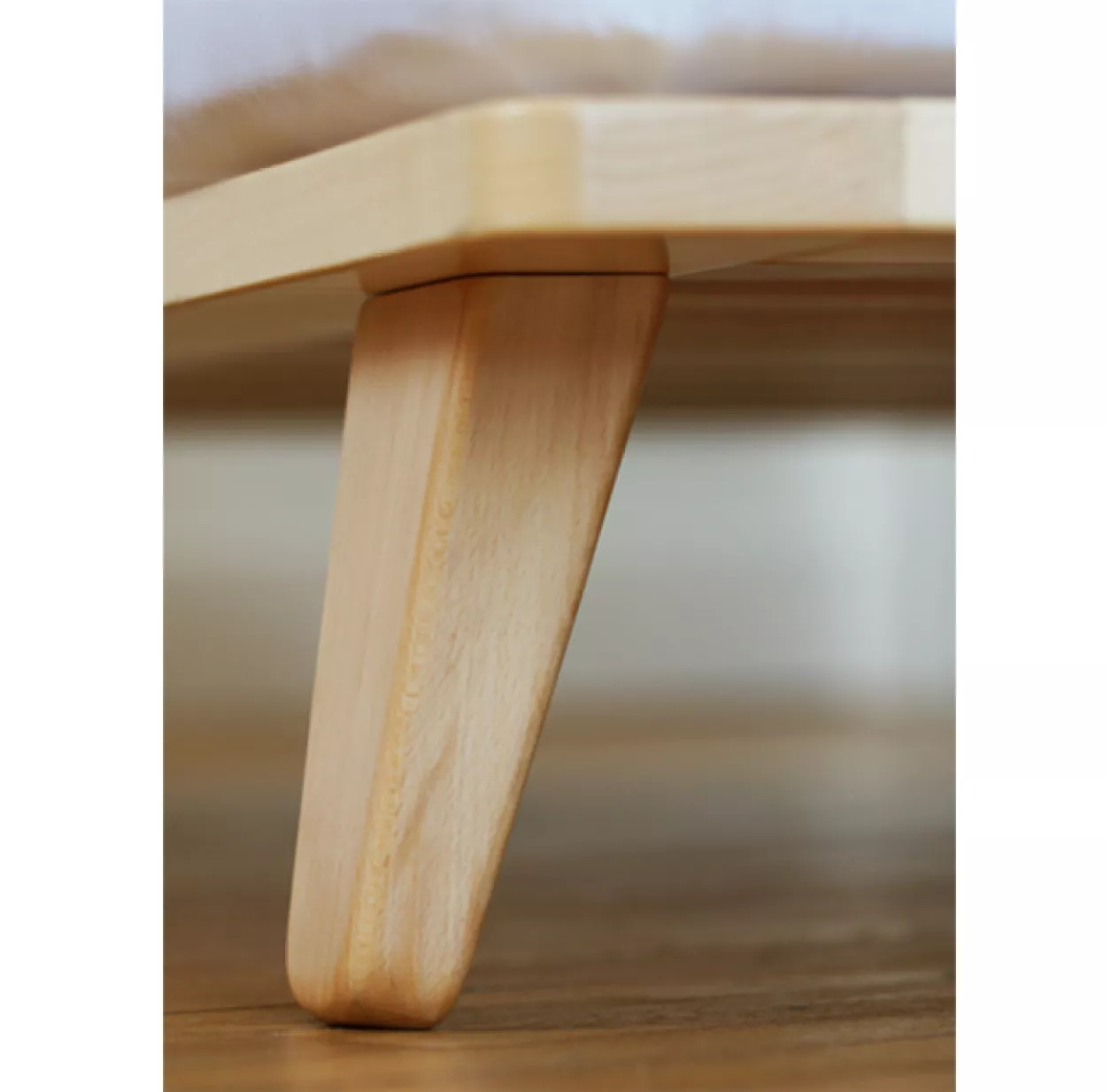 Lit Junior 7 Lit Junior – Image 5